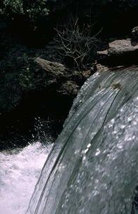 Pouring Water