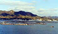 Oyster Beds in Hiroshima Bay